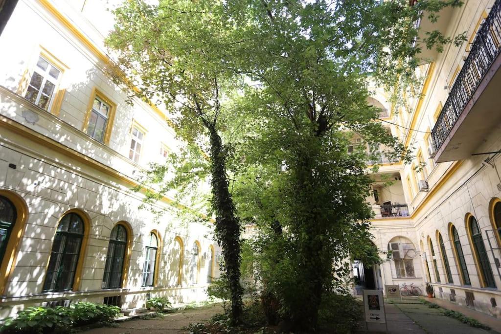 Quiet Home At Synagogue — Fotók 2